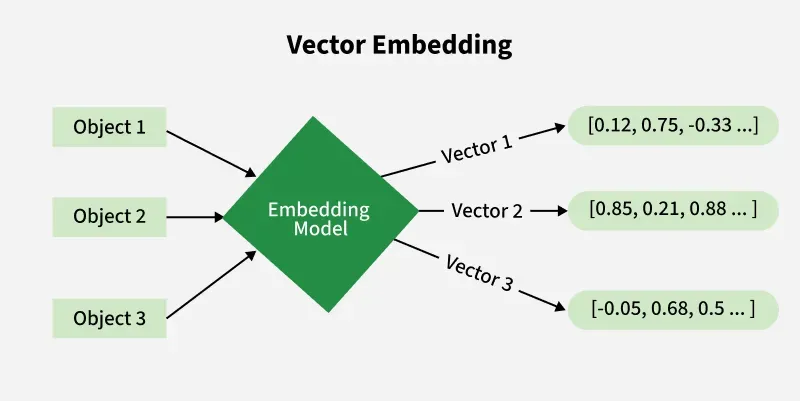 Vector embedding